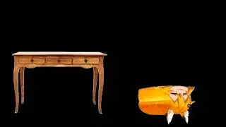 Senko Bread gets up