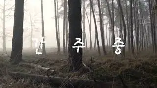 인생소풍  나훈아