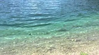 Awesome lake - Plansee, Austria