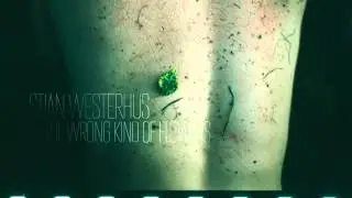 Stian Westerhus &mdash; The Wrong Kind of Flowers