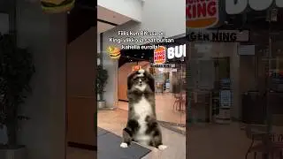 🔥 Kingi Viikko on t&auml;&auml;ll&auml;! 🔥