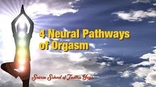 Coming Alive: Four Neural Pathways of Orgasm