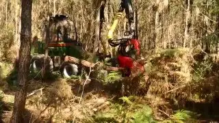 Abatteuse foresti&egrave;re petit bois SOGEDEP SH15 en 6 roues dans le r&eacute;sineux