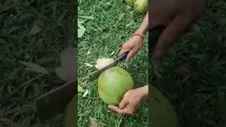 how to open a young coconut? #shorts #shortsvideo #shortsfeed  #short #diy #buko #bukojuice #howto