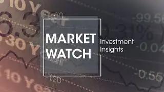 Market Watch: Investment Insights - October 2020