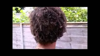 Sisterlocks at 2 Months Sisterlocks UK