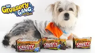Surprise GROSSERY GANG Blind Bags - Shopkins Toys - DCTC Puppy ZUMI