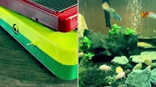 Reggae 🏝️wah pedal, Peter Tosh style SOUNDS!!! 🇯🇲
