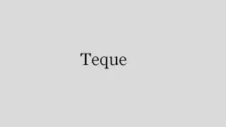 Teque (music) - Nanobot