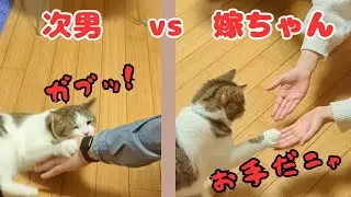 次男夫婦帰省