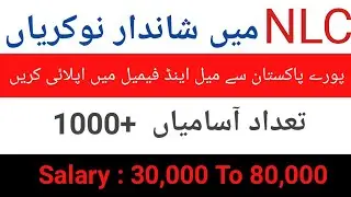 New govt National Logistics Cell Jobs 2020 in Pakistan by job alert