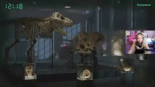 SEEING THINGS DEMO