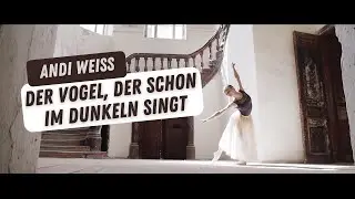 Der Vogel, der schon im Dunkeln singt (Andi Weiss) - offizielles Musikvideo