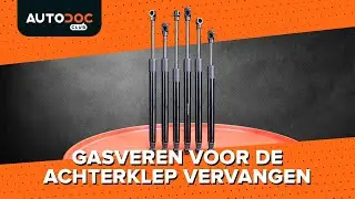 Hoe u de gasveren voor de achterklep kunt vervangen [HANDLEIDING AUTODOC]