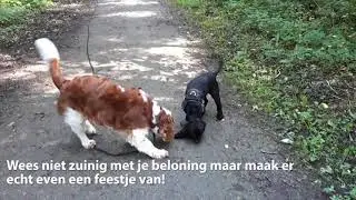 Hierkomen met fluitsignaal