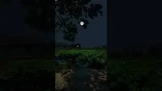 What a Relaxing Music With Relaxing Night