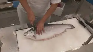 How to steak cut fresh fjord trout salmon (With Normal Chopper)