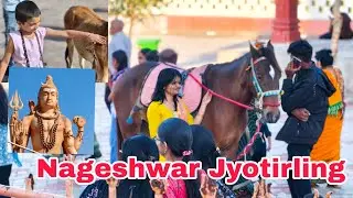 Nageshwar Jyotirling Dwarka#mahadev #nageshwarjyotirlinga #jaimahakal 