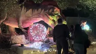 Christmas Lighting at Dallas Zoo