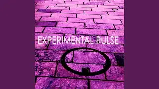 Antoine Binant - Electronic Trouble Ft. Francis Zgorski