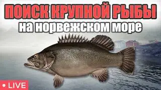 РР4 СТРИМ &bull; ПРОВЕРЯЕМ ТОЧКИ НА НОРВЖЕСКОМ МОРЕ  И ФАРМИМ СЕРЕБРО  &bull;   РУССКАЯ РЫБАЛКА 4