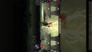 Fastest kill for💥 shadow slayer Boss 😮💪
