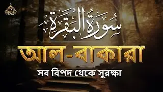 🌿 পৃথিবীর সবচেয়ে আবেগময় সূরা বাকারা তেলাওয়াত | Surah Al Baqarah (سورة البقرة) by Alaa Aqel 🎧