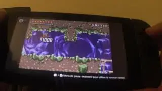 Wario Land 4 (Palm Tree Paradise) - 11 150 Points