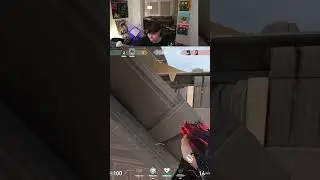 Grim's Pixel Perfect Sage Wall (Fracture)