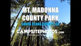 Mt  Madonna County Park, CA