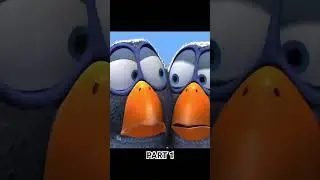 for the birds