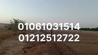 17 فدان بيصرفوا كيماوي 