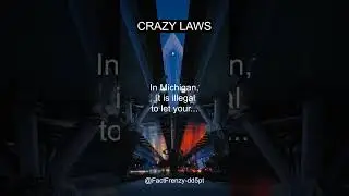 Crazy Michigan Law #1. Do you own one? Comment 👇 #crazylaws #factfrenzy #shorts