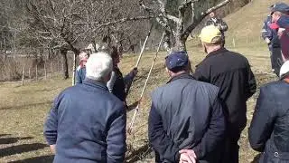 Obrezovanje na domačiji Čerček Solčava