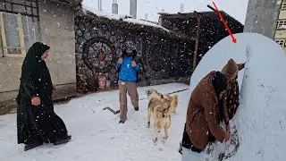 An Unforgettable Snowy Day | The Happiness and Snow Play of Zahra's Nomadic Family ❄️