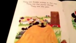Picnic by Jolly phonics