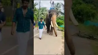 vailassery Arjunan 😘😘|Vailassery Arjunan ❤️❤️ Fans page ❤️❤️|