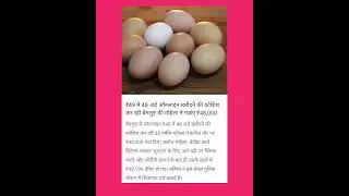 Bengaluru woman tries to buy 48 eggs online for ₹49, loses ₹48,000