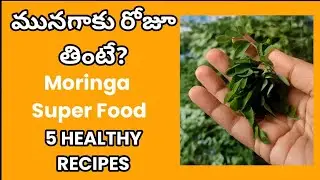5 రకాల మునగాకు Recipes 🌿 Moringa Recipes | 5 Healthy & Nutritious Recipes for Daily Diet