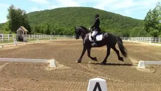 First Level Dressage Musical Freestyle - Sandra Beaulieu and Friesian horse Douwe - Outlander Theme