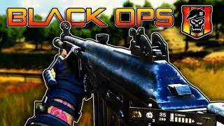 Black Ops 4 Blackout THE GALIL!!!