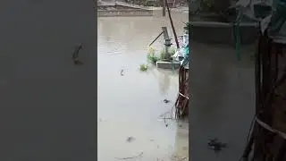 heavy rain in Lucknow .full video on channel #heavyrain