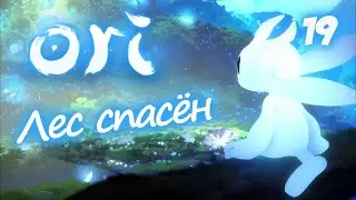 ЛЕС СПАСЁН - ORI and the Blind Forest - 19 - Финал
