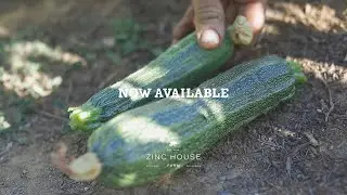 Zinc House Farm - Squash