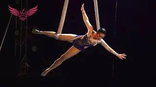 VCA2023 Aerial Hammock ( Semi-Professional ) Finalist - Missy