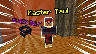 The FASTEST Way To Get The Black Belt (Dojo Guide) Hypixel Skyblock