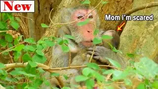 Janna cry scared hug mom, Jane know her baby scared she deep hug her baby with face cry hurt heart