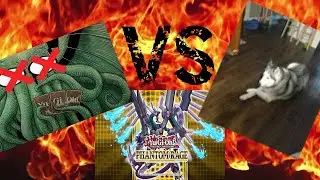 PHANTOM RAGE BOOSTER BOX BATTLE WITH HEART OF THE PACK!!