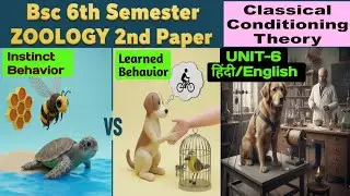 Instinct Behavior vs Learned Behavior BSc 3rd Year 6th Semester//Habituation//Classical Conditioning
