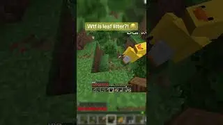 She asked what leaf litter is&hellip; I&rsquo;m reconsidering everything 😂🌿 #minecraft  #gaming #funny #dreamsmp